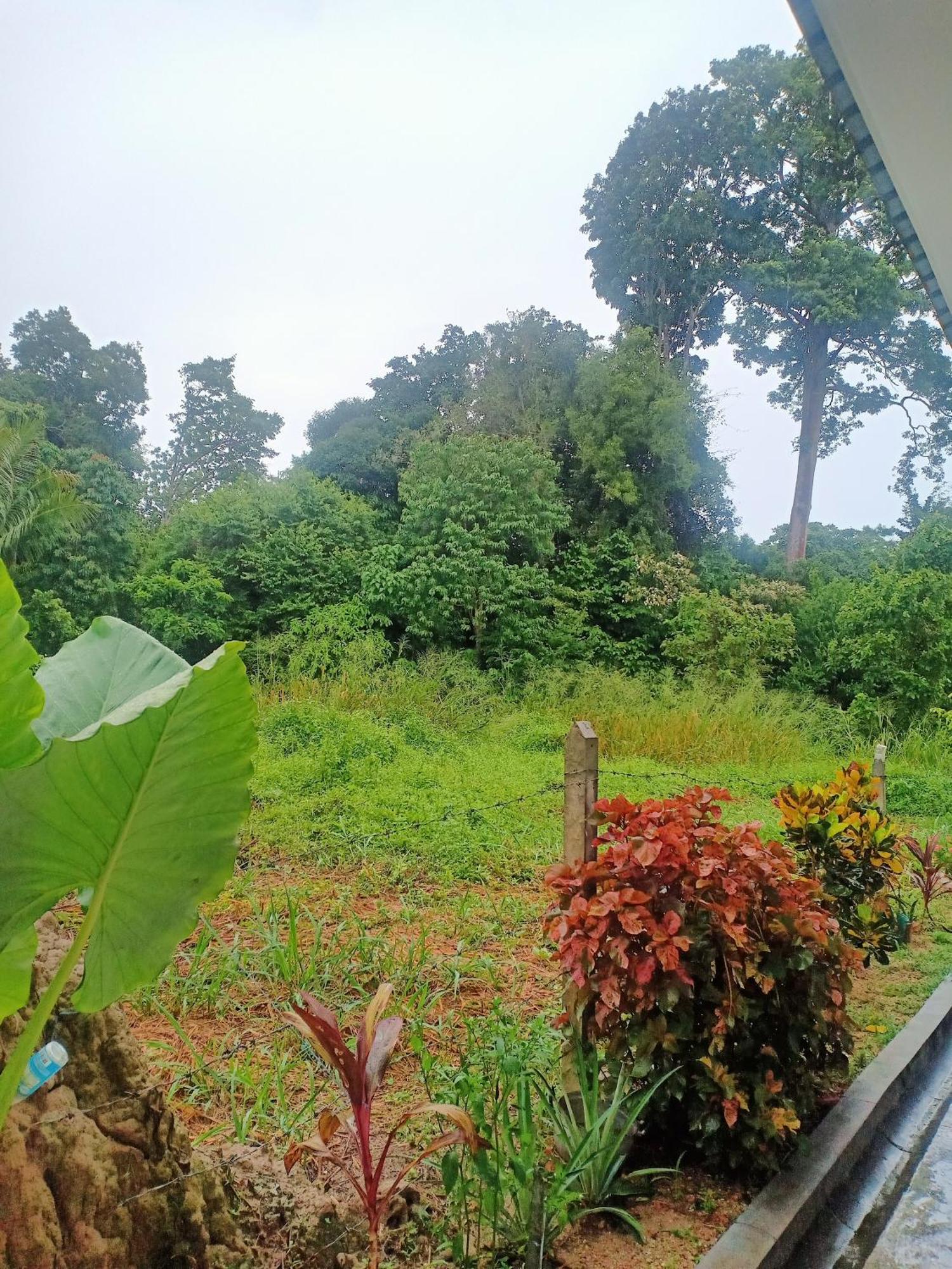 Rossy Rumah percutian